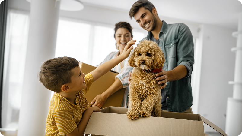 תכנון מעבר וליווי אישי