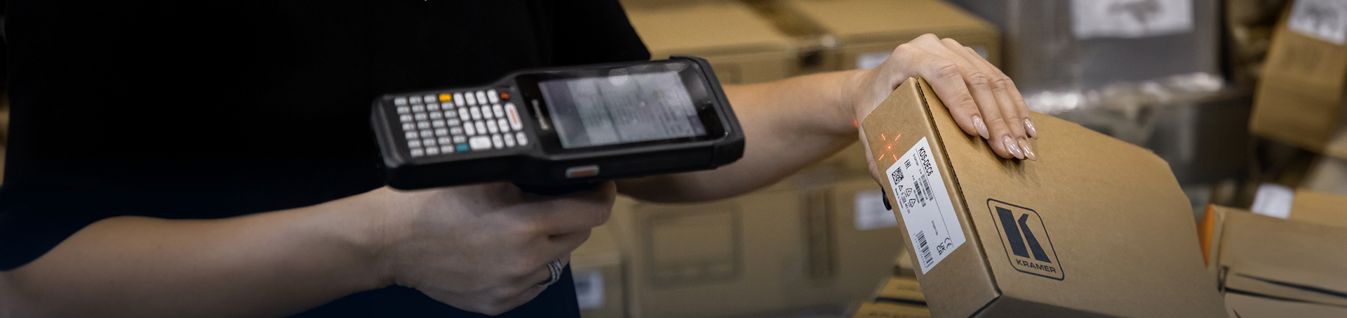 ליקוט והכנת הזמנות