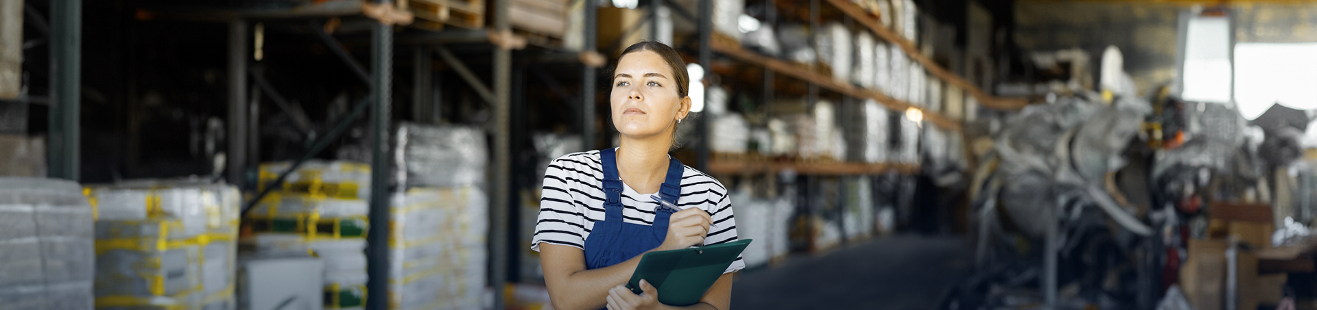 שירותי ספירות מלאי